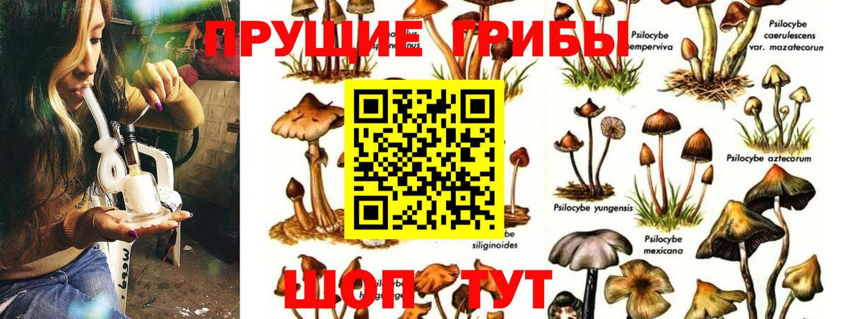 Псилоцибиновые грибы мухоморы  Вход с VPN  Полысаево 